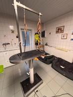 Table électrique GTE, Dieren en Toebehoren, Honden-accessoires, Ophalen, Zo goed als nieuw