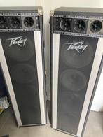 T-300 Peavy speakers vintage, Ophalen, Gebruikt