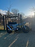 Dax 50 cc, Motoren, Particulier