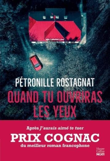 Thriller de Pétronille Rostagnat beschikbaar voor biedingen