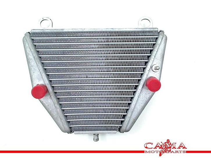 OLIEKOELER Ducati Panigale V4 2018- (01-2018/-) (54811363A), Motoren, Onderdelen | Ducati, Gebruikt