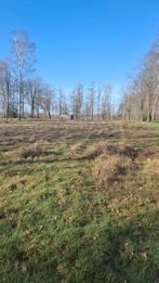 1.5 ha grond - volledig omheind, OUDSBERGEN