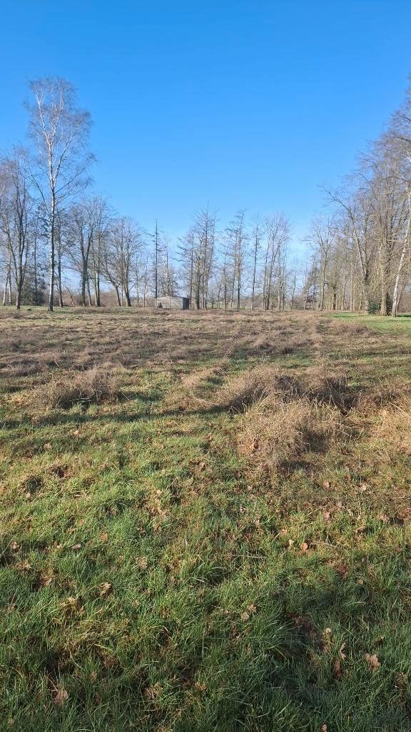 1.5 ha grond - volledig omheind, Immo, Antivol