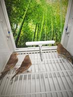 Verdier, Animaux & Accessoires, Enlèvement