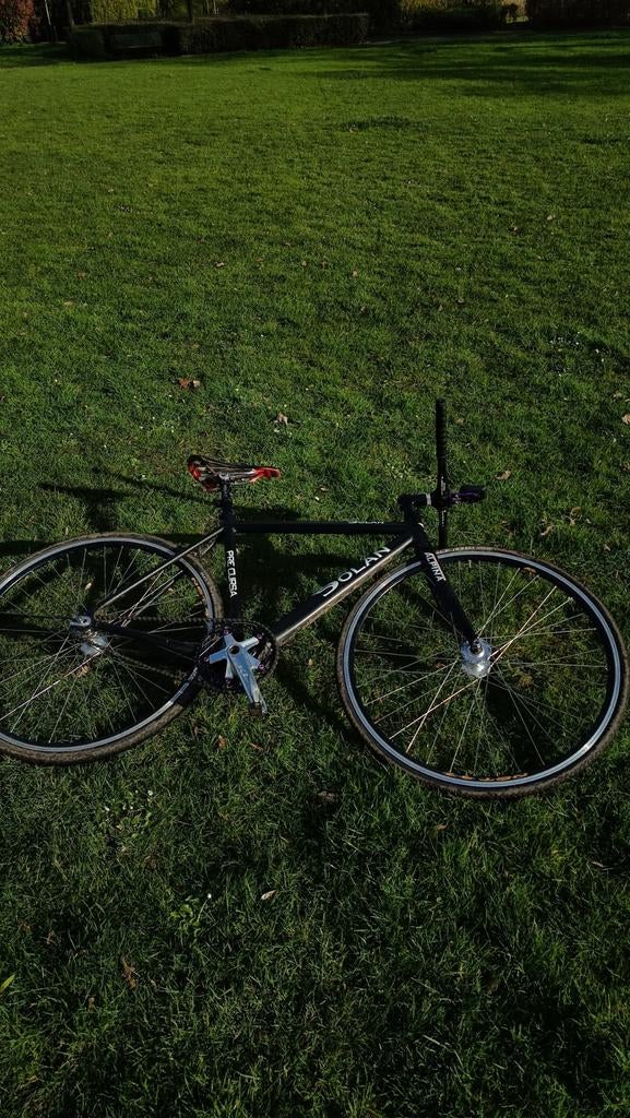 Piste fiets: Dolan Pre Cursa Maat 50, Ophalen