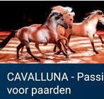 2 e-tickets Cavalluna  in AFAS Dome op 21 maart om 19u, Tickets en Kaartjes, Twee personen