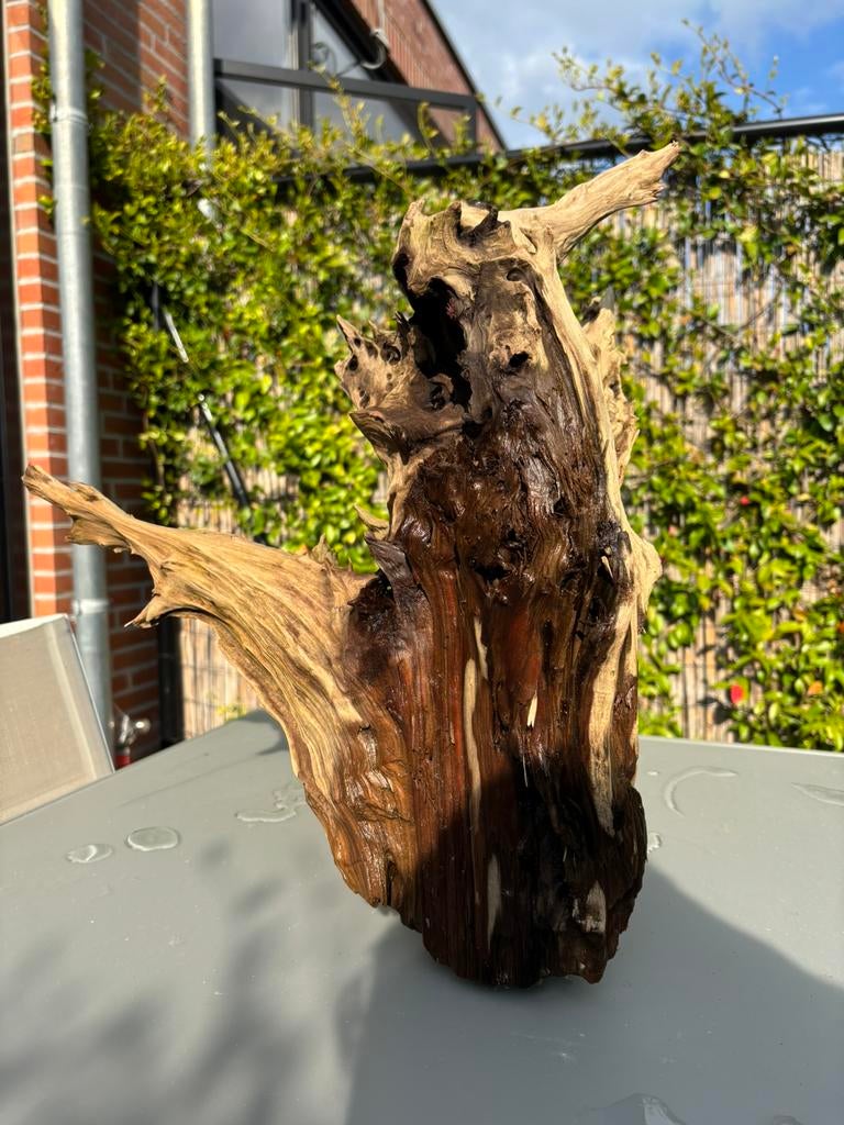 Kienhout-groot stuk afm 50x55x40., Ophalen, Zo goed als nieuw