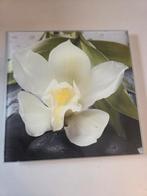 2 foto's onder glas, Enlèvement