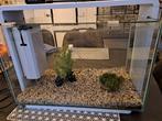 À vendre aquarium 60 litres plus accessoires., Animaux & Accessoires, Enlèvement
