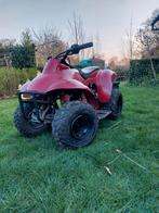 Kinderquad, Motoren, Quads en Trikes