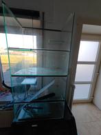 Pour gerbilles et autres, Enlèvement