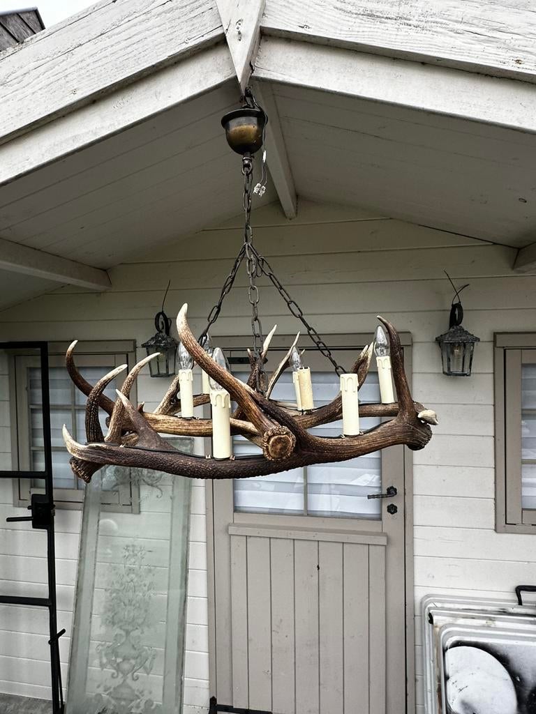 Gewei luster, Enlèvement