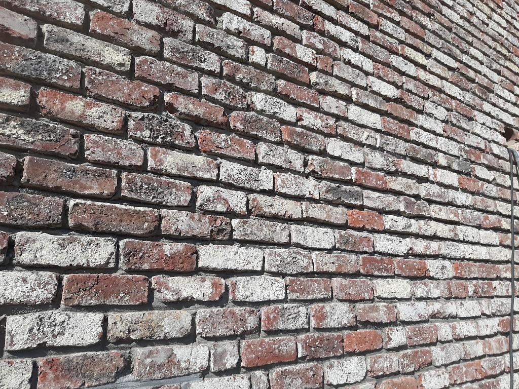 Oude gevelsteen ardeense moef, Bricolage & Construction, Briques, Enlèvement, Neuf, Briques