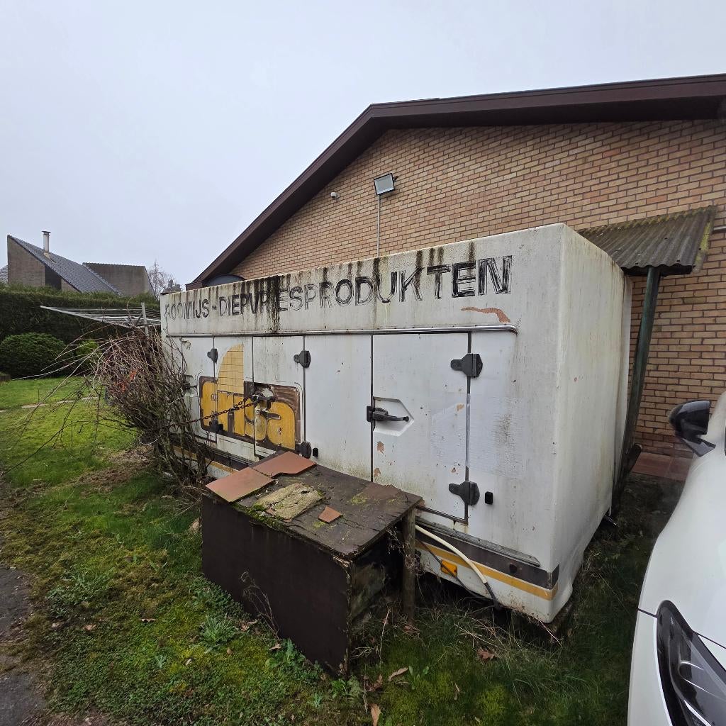 Surgélateur-conservateur professionnel d'occasion, Electroménager, Enlèvement, Utilisé