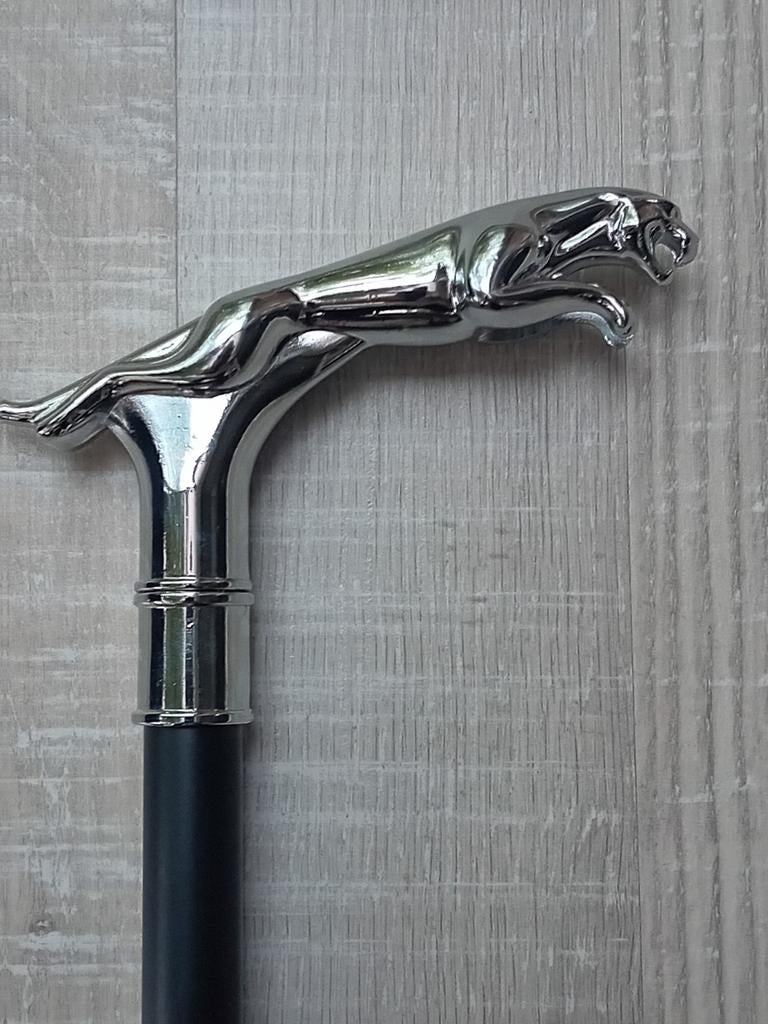 Jaguar Chrome, Divers, Bâtons de marche, Envoi