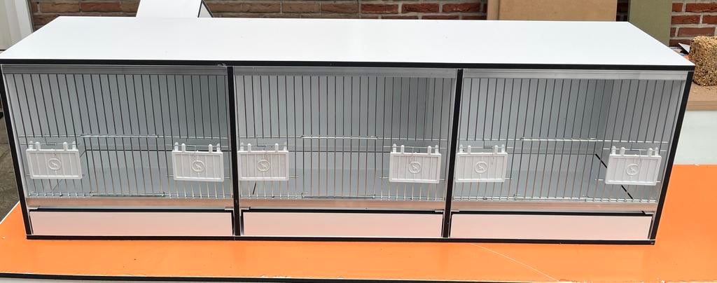 Africhtkooien, Dieren en Toebehoren, Ophalen, Nieuw, Kunststof