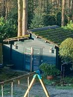 Abri de jardin de 4 m/4 m et 32 mm d'épaisseur. Avec 2 pots, Enlèvement, Bois, Abri de jardin