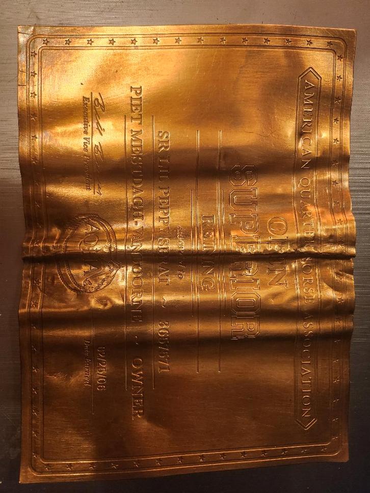 AMERICAN QUARTER Horse Association, Verzamelen, Dierenverzamelingen, Gebruikt, Overige typen, Paard, Ophalen of Verzenden