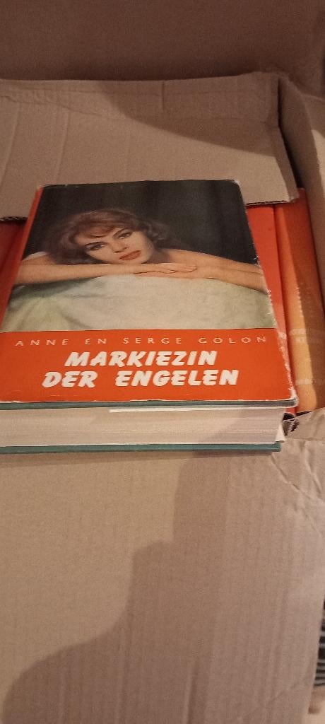 De volledige Angelique serie, Livres, Enlèvement, Utilisé, Anne en Serge Golon