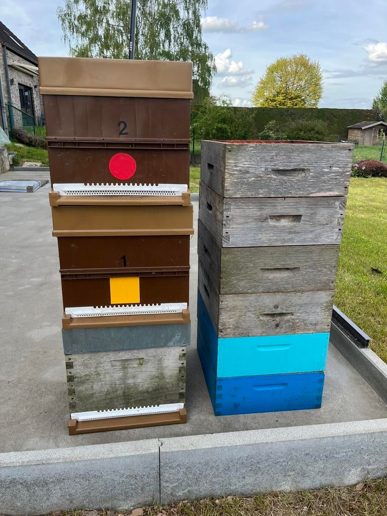 Lot materiel apicole ruches et hausses, Hobby & Loisirs créatifs, Bricolage, Enlèvement