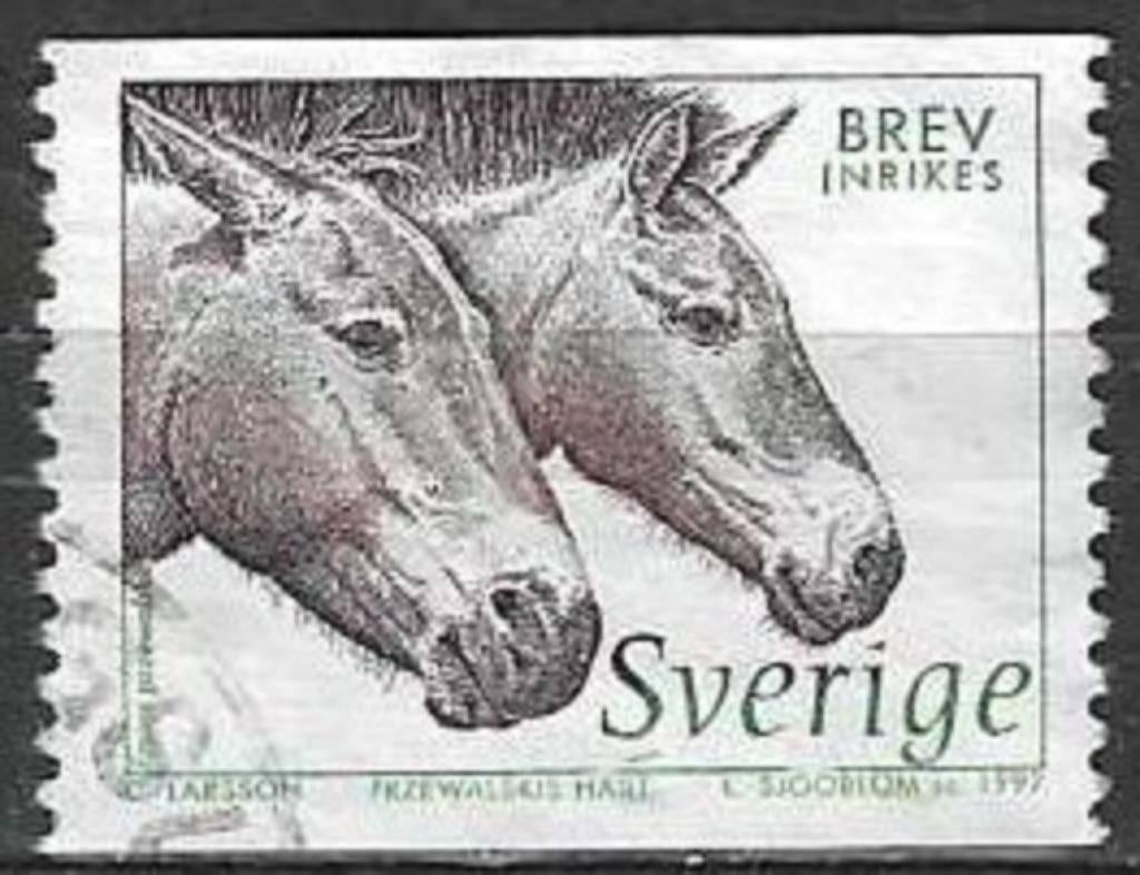 Suède 1997 - Yvert 1973 - Tête de cheval Przewalski (ST), Envoi, Suède, Affranchi