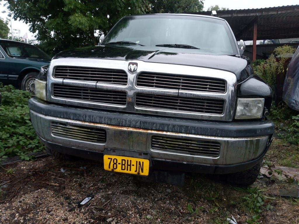 Dodge Ram (BR/BE) Pick-up 5.2 1500 4x2 Kat. 1995 sloopvoertu, Gebruikt, -, -, Ophalen of Verzenden