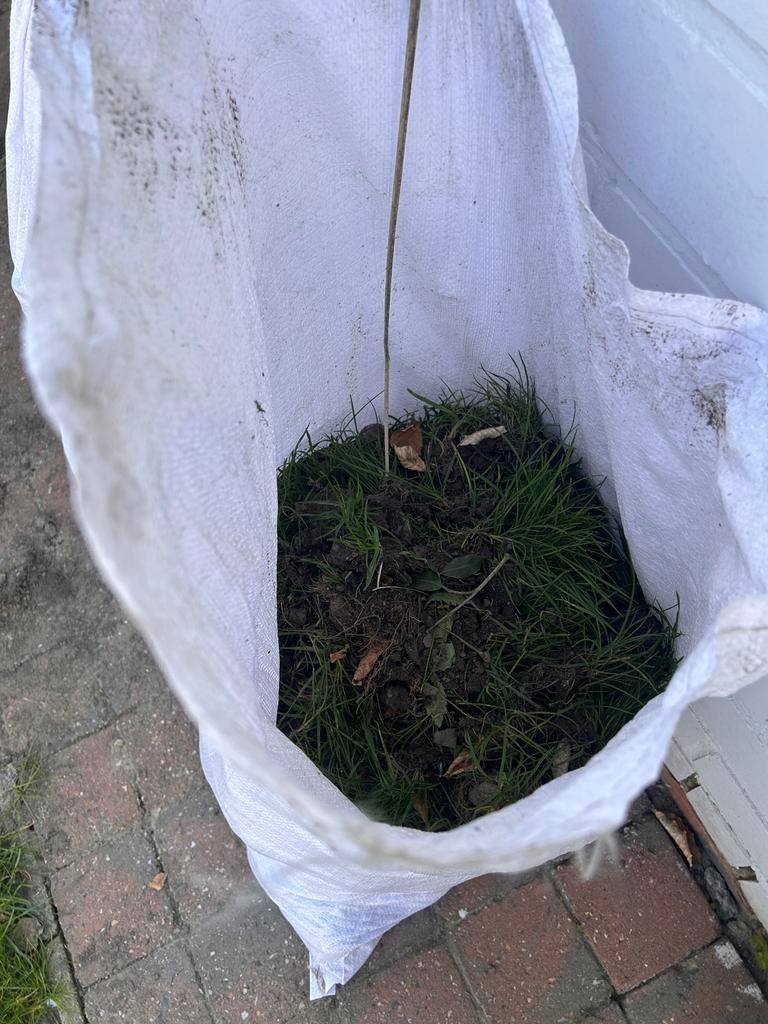 Gratis graszoden (ongeveer 8 zakken van 60l), Tuin en Terras, Ophalen