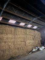 GRASZAADHOOI TE KOOP, Dieren en Toebehoren, Ophalen of Verzenden, Vee