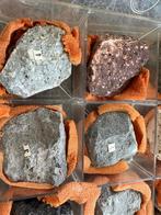 Collectie gesteenten incl. Opbergdoos., Verzamelen, Ophalen, Overige typen