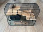 Cages en verre pour rongeur, Animaux & Accessoires, Enlèvement, Utilisé, Cage, Rat