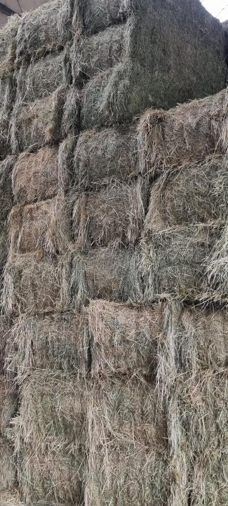 Grosses balles de foin et de paille à vendre, Enlèvement ou Envoi