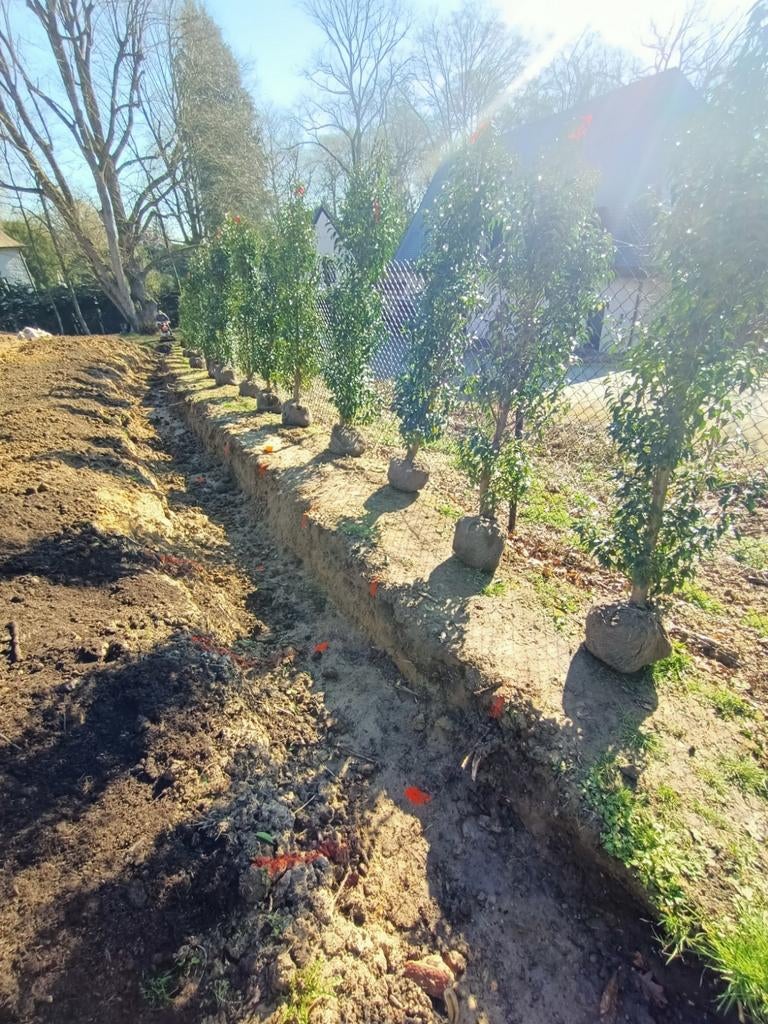 Bonjour je suis jardinier, Jardin & Terrasse, Haie