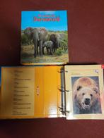 4 mappen fascinerende dierenwereld, Boeken, Ophalen of Verzenden, Gelezen