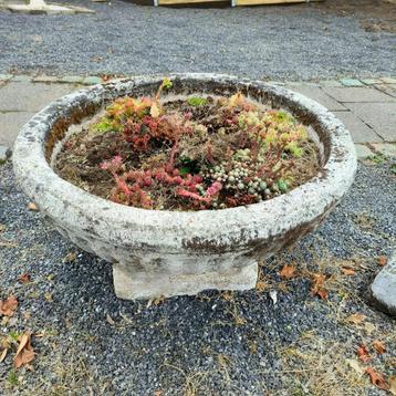 Grote stenen bloempot voor in de (voor)tuin beschikbaar voor biedingen