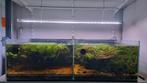 2x dubbele (dus 4 aquariums) samen te koop met alles erbij!, Enlèvement, Comme neuf