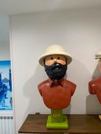 Buste tintin JM pigeon no leblon aroutcheff pixi fariboles, Verzamelen, Ophalen, Kuifje, Zo goed als nieuw, Beeldje of Figuurtje