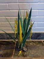 Rijstplantje uit hout, Enlèvement, Utilisé