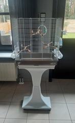 Vogelkooi op staander, Dieren en Toebehoren, Ophalen, Zo goed als nieuw, Vogelkooi