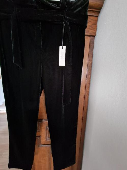 Fluwelen Broek Caroll   (NIEUW !), Kleding | Dames, Broeken en Pantalons, Nieuw, Maat 42/44 (L), Zwart, Lang, Ophalen of Verzenden