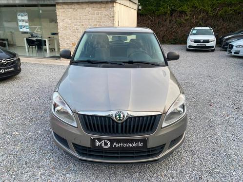 Skoda 2010, Auto's, Skoda, Bedrijf, Te koop, Fabia, Benzine, Euro 5, Berline, 5 deurs, Handgeschakeld, Zilver of Grijs, Ophalen