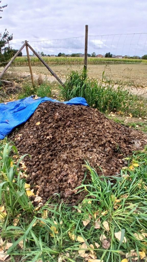 Gratis Paardenmest - Af te halen!, Tuin en Terras, Aarde en Mest, Mest, Ophalen