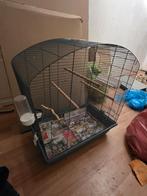 Vogelkooi, Dieren en Toebehoren, Vogels | Hokken en Kooien, Ophalen, Zo goed als nieuw, Vogelkooi