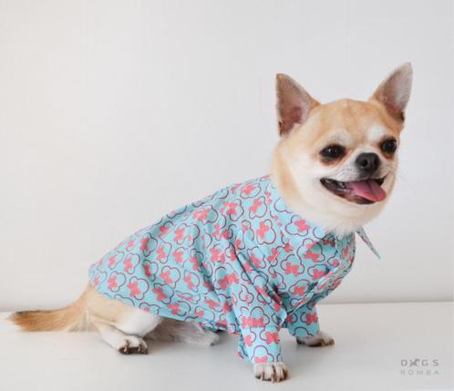 Chemise Chiens Bomba Mikkey turquoise Pull chaud pour chien, Animaux & Accessoires, Vêtements pour chiens, Neuf, Costume pour chien