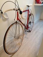 Faggin campione del mondo, Ophalen