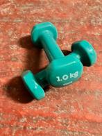 Fitness gewichtjes, Ophalen of Verzenden