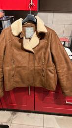 Winterjas, Ophalen of Verzenden, Zo goed als nieuw