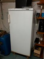 Congelateur Bosch, Electroménager, Congélateurs, Congélateur, 120 à 140 cm, Enlèvement, Utilisé