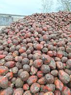 Voederbieten, Zakelijke goederen, Ophalen