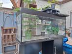 Juwel Rio 240, Ophalen of Verzenden, Zo goed als nieuw, Leeg aquarium