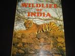 Wildlife in India, Boeken, Dieren en Huisdieren, Ophalen of Verzenden, Zo goed als nieuw